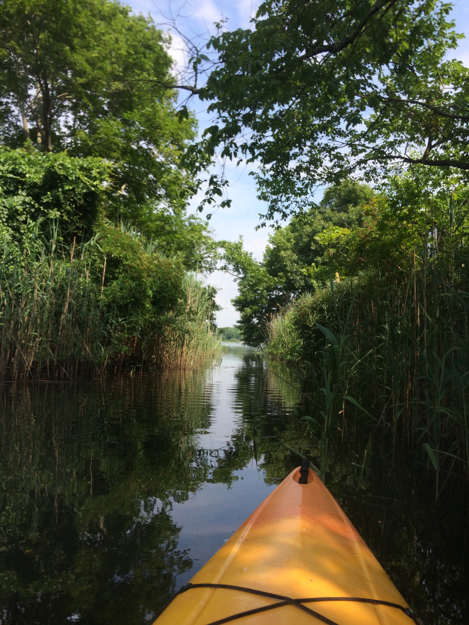kayak-on-the-water-under-trees