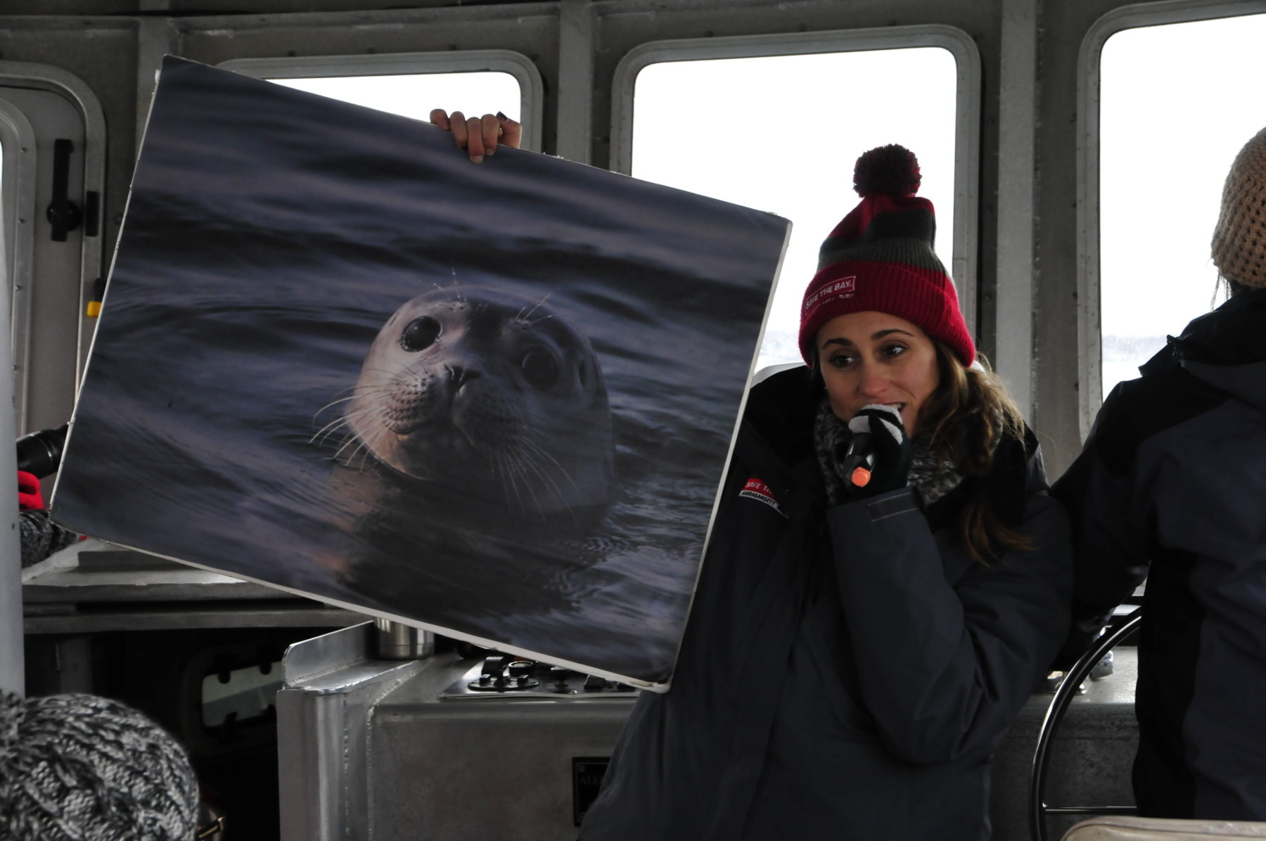 A Save The Bay seal tour