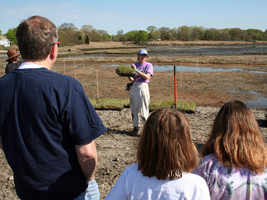 Planting-in-Allin's-Cove-2006