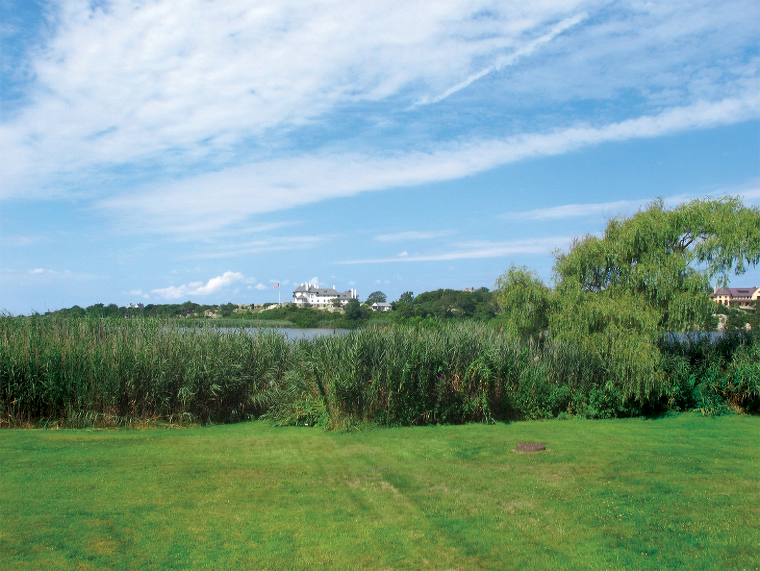 Grass-at-Almy-Pond