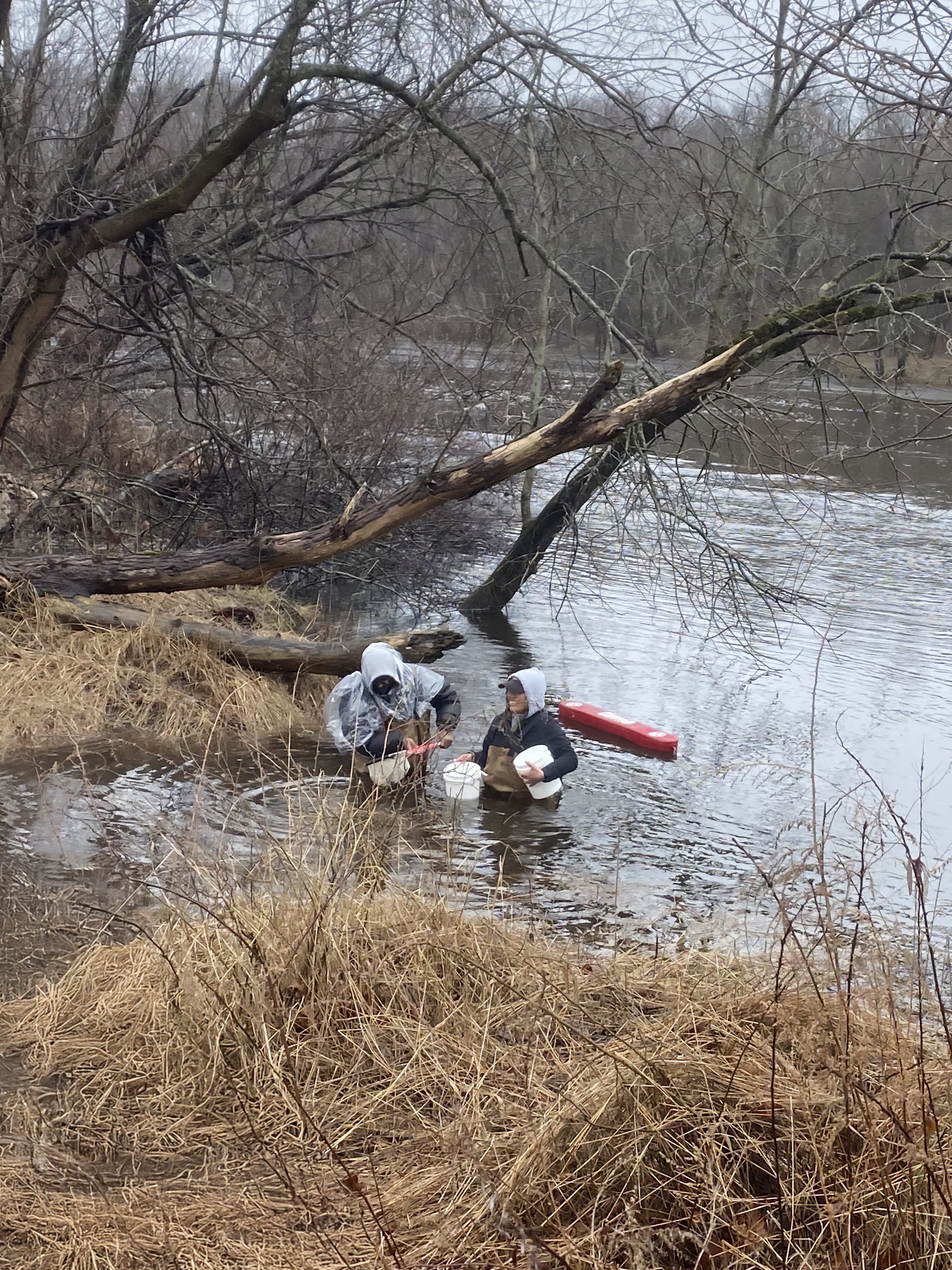 Aura-and-student-in-marsh