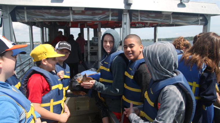 Programs for Schools and Groups