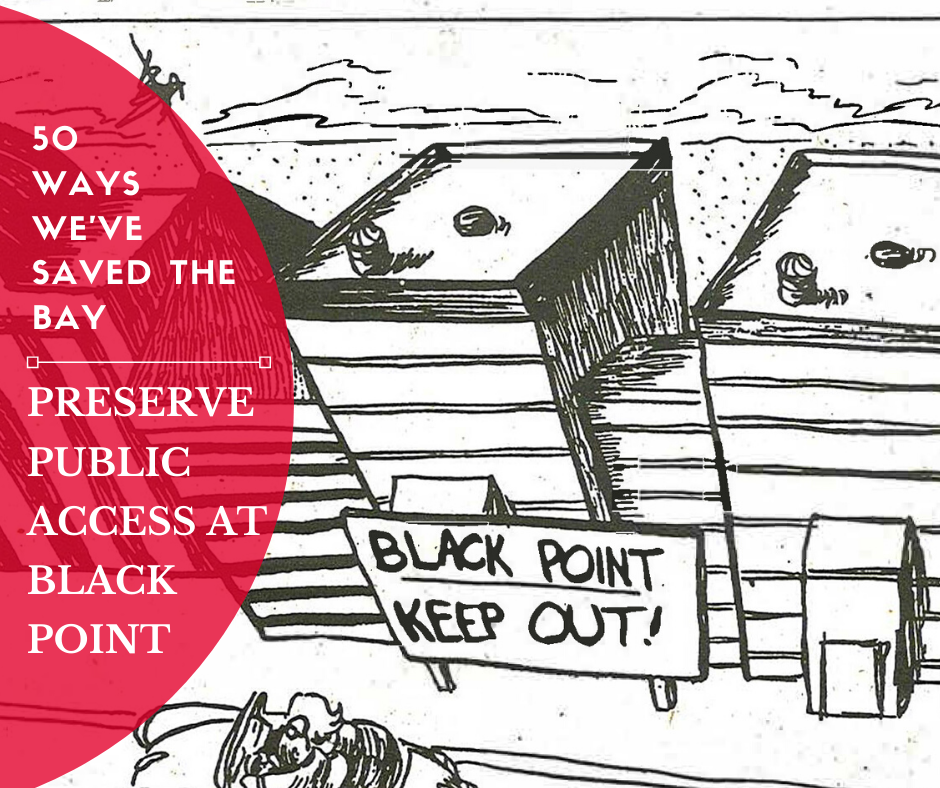 Political-cartoon-depicting-a-condo-at-Black-Point