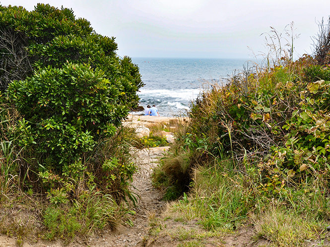 Coastal-shrub-path-leading-to-beach-Black-Point