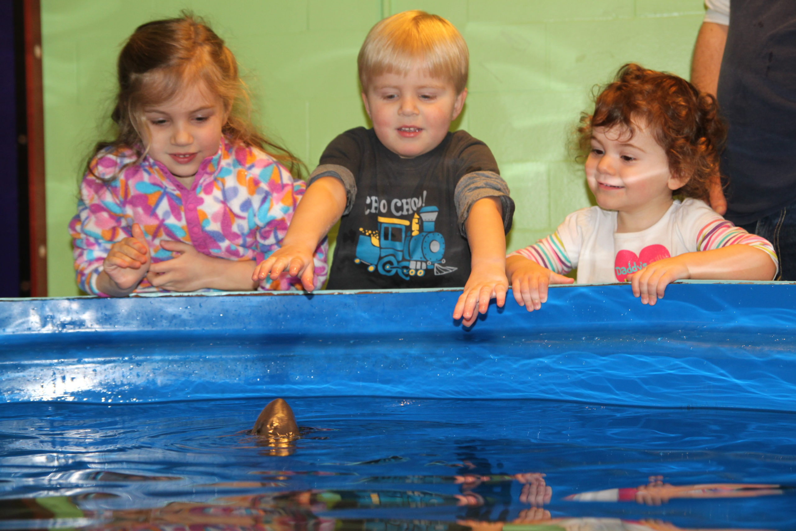 children-at-touch-tank-shark-exploration-center
