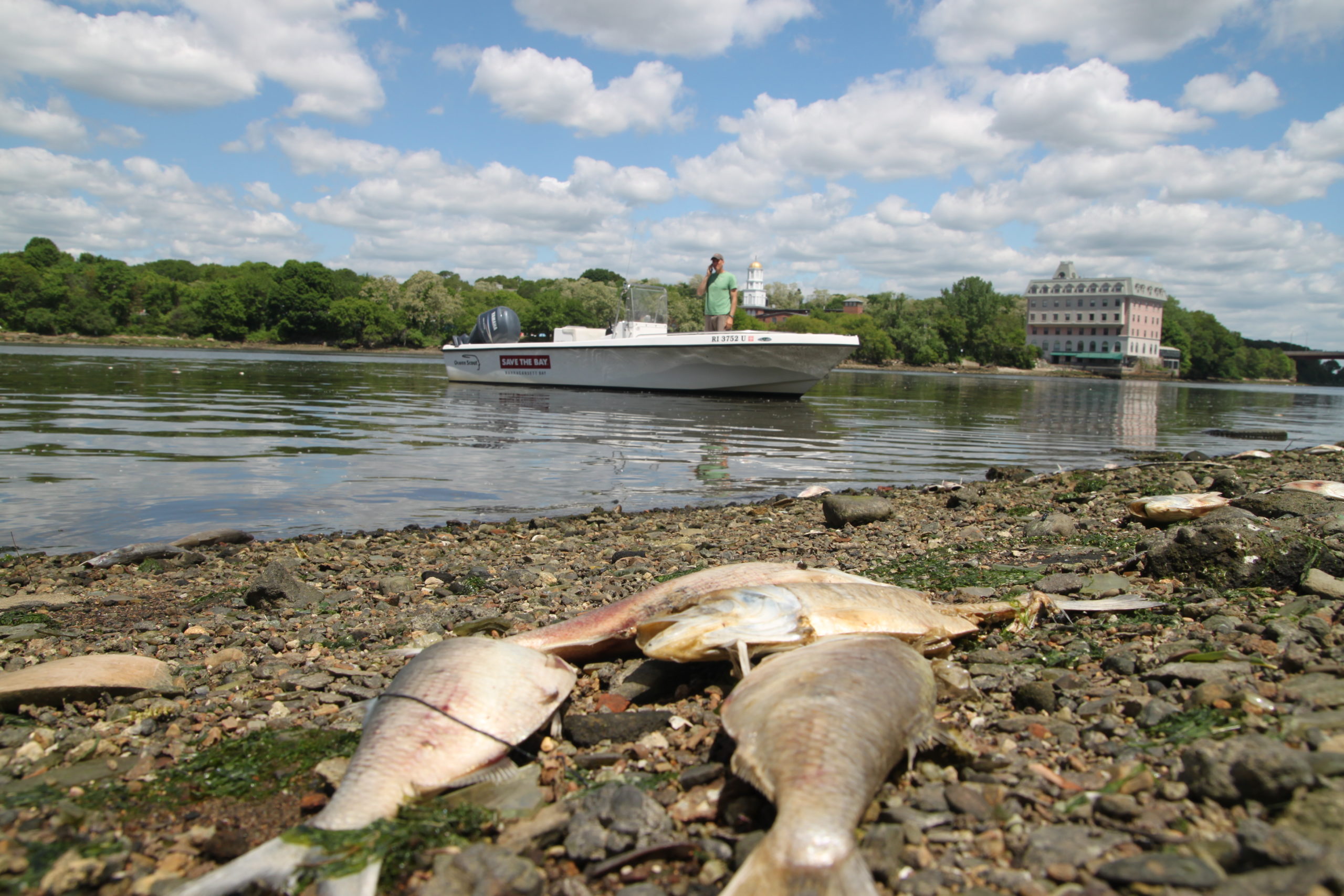 Baykeeper-Tom-Kutcher-reports-evidence-for-fish-kill-2014