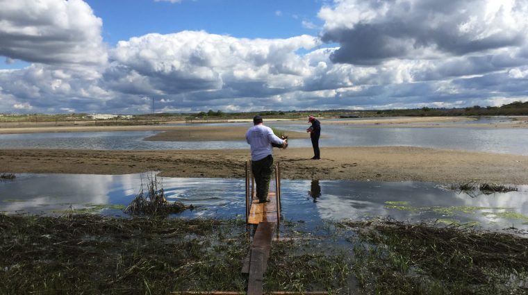 Protecting Habitats and Wildlife