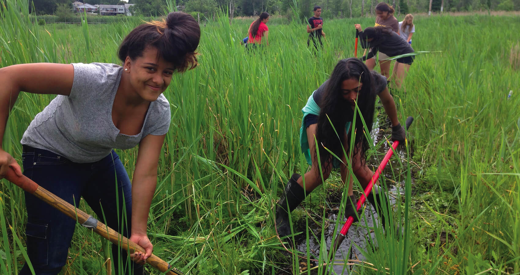 Students help with salt marsh restoration