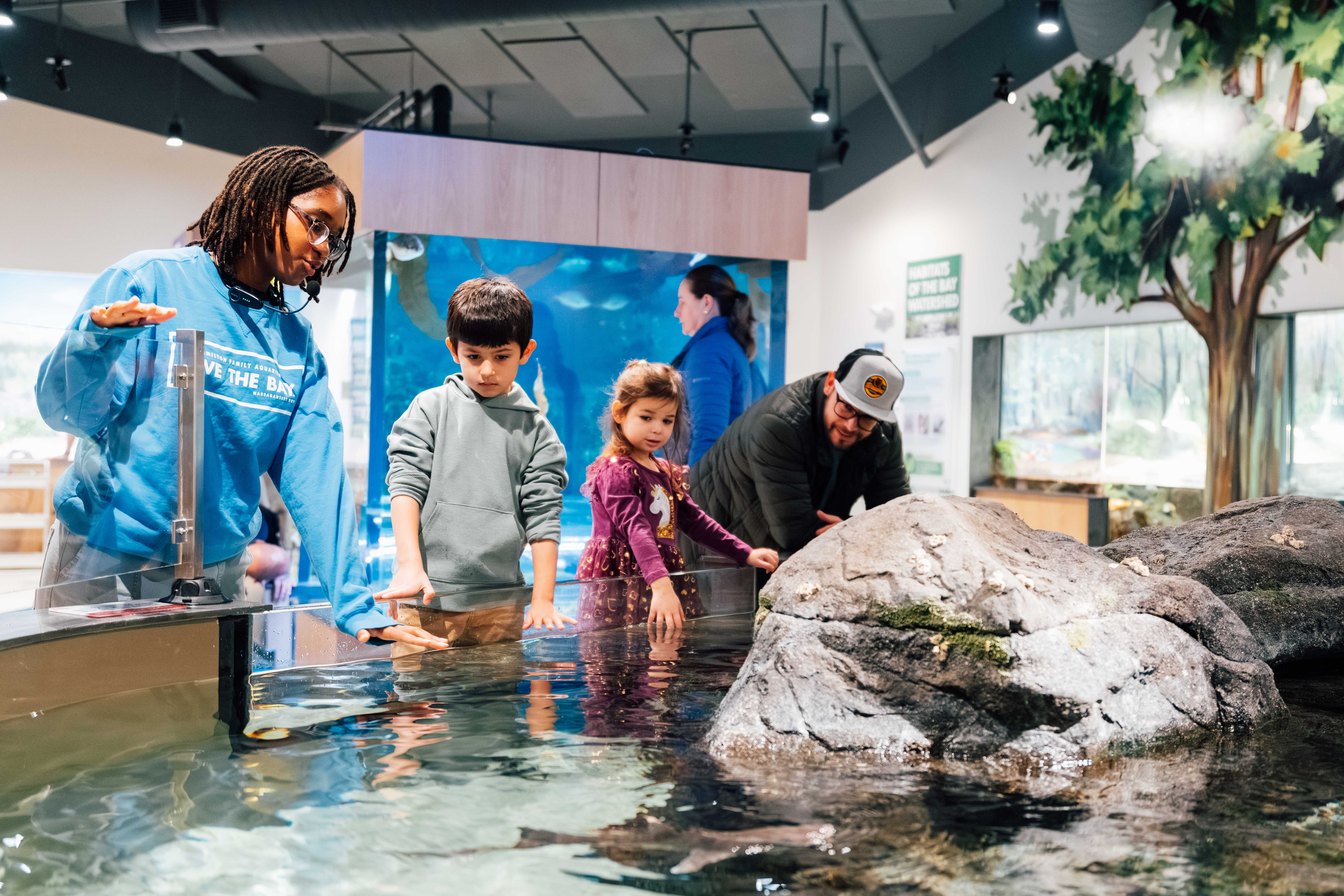 Rocky shore habitat at the aquarium