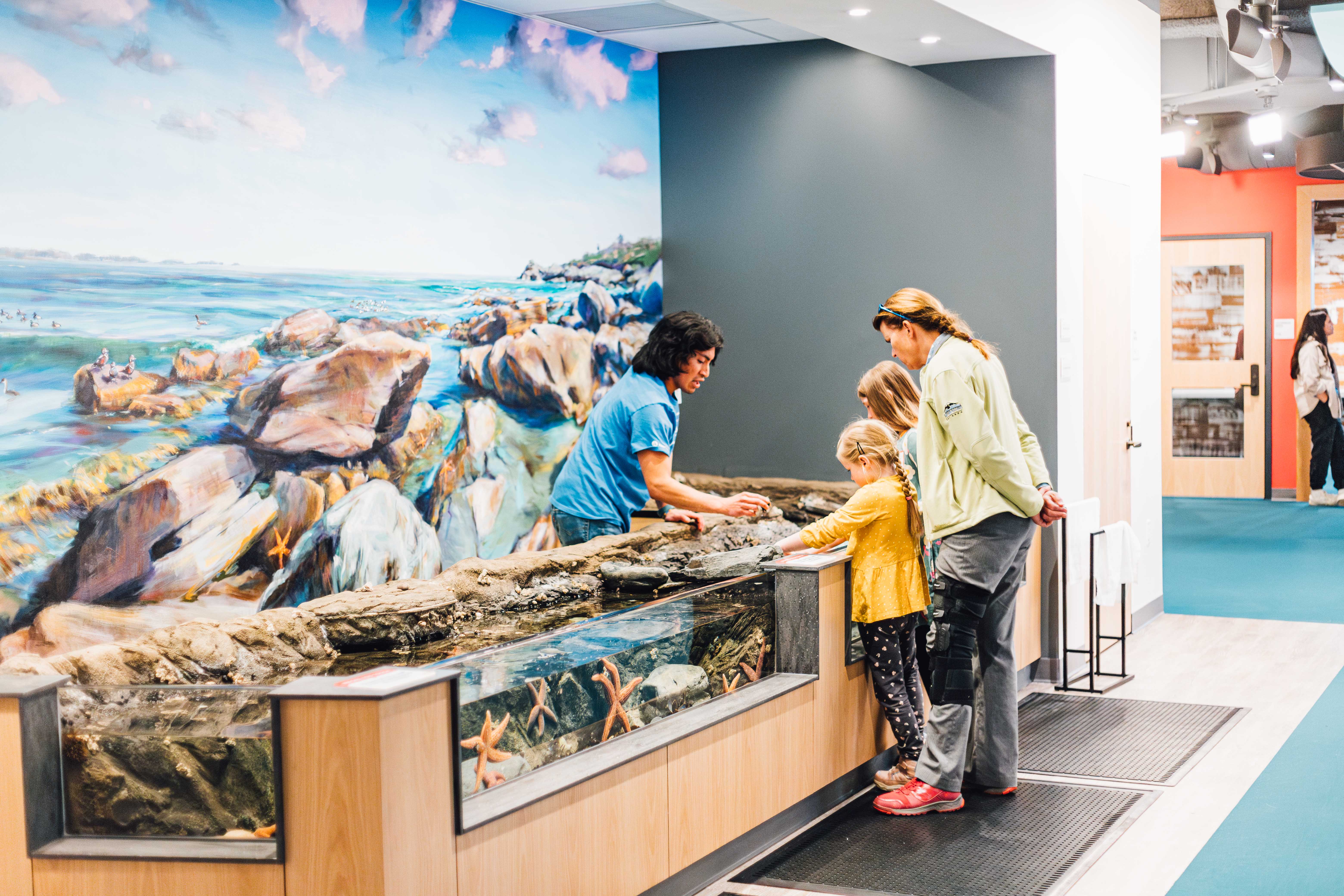 Sandy shore habitat at the aquarium