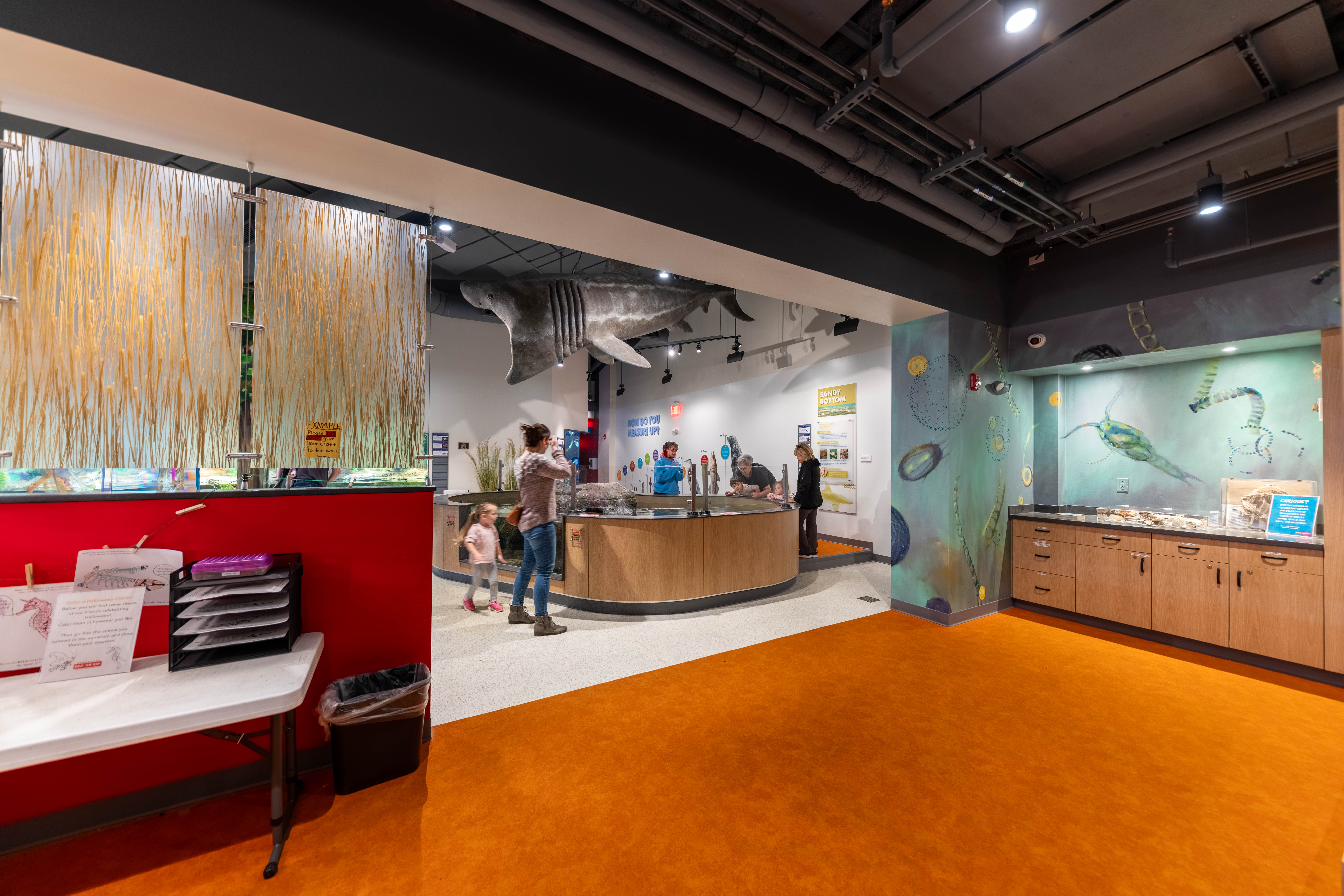 Museums for All access program