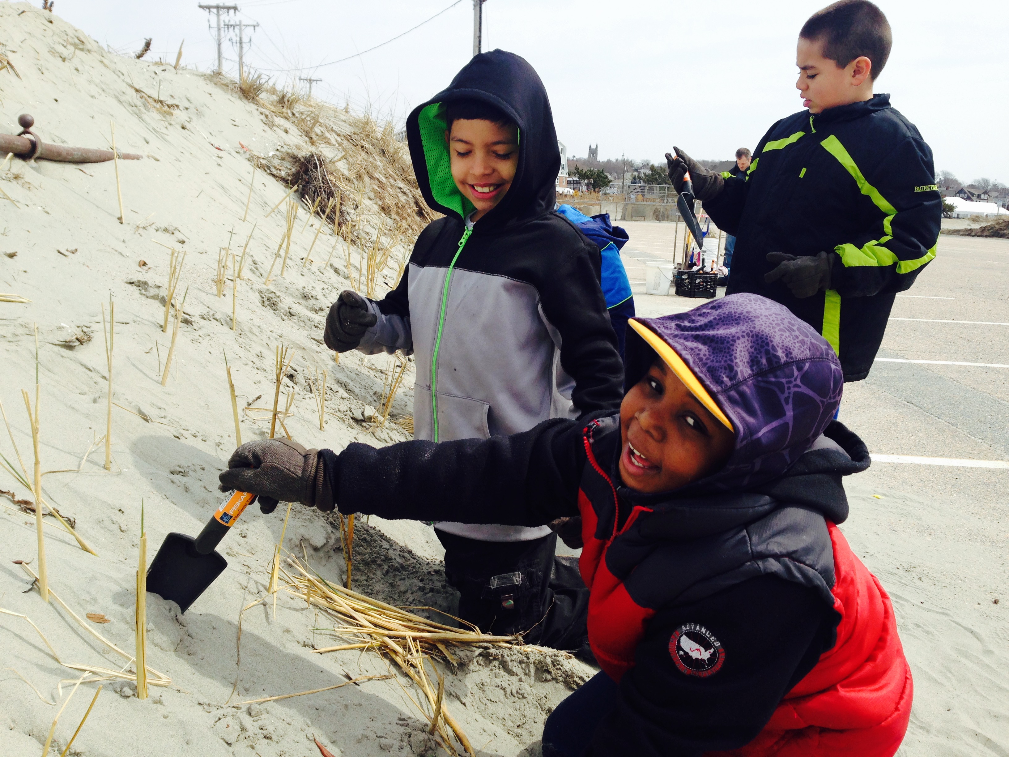 Pell Elementary School students plant dune grasses at Easton's Beach